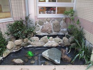 ビオトープ